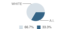 Naukati School Student Race Distribution