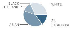 Unalaska High School (Junior / Senior) Student Race Distribution