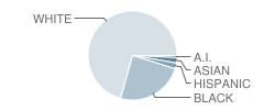Prattville High School Student Race Distribution