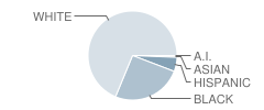 Gosnell High School Student Race Distribution