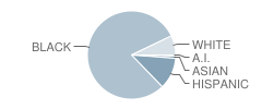 Hall High School Student Race Distribution