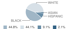 Warren Dupree Elementary School Student Race Distribution