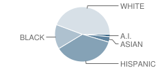 La Paloma Academy (Lakeside) Student Race Distribution