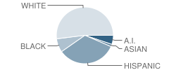 Edupreneurship Student Center (Esc) Phoenix School Student Race Distribution
