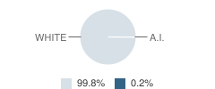 Masada Charter School Student Race Distribution