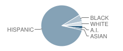 Andalucia Middle School Student Race Distribution