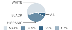 Ppec Tec - Robles Junction Learning Center School Student Race Distribution