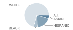 Empire High School Student Race Distribution