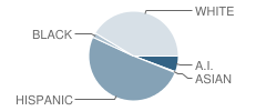 Altar Valley Middle School Student Race Distribution