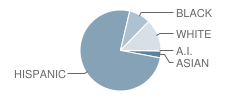 Tres Rios Elementary School Student Race Distribution