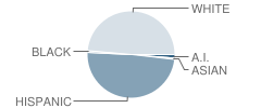 Willcox High School Student Race Distribution
