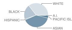 Manlio Silva Elementary School Student Race Distribution