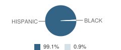 New Economics for Women (New) Academy of Science Student Race Distribution