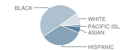 Carson Creek High School (Junior / Senior) Student Race Distribution