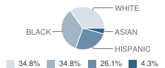 Drc / Morgan High School (Junior / Senior) Student Race Distribution