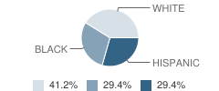 Mountain View High (Continuation) School Student Race Distribution