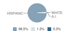 Vail High (Continuation) School Student Race Distribution