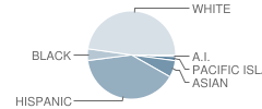 Foothill Elementary School Student Race Distribution
