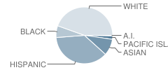 Monterey High School Student Race Distribution