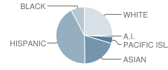 Ione Olson Elementary School Student Race Distribution