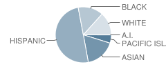 Seaside High School Student Race Distribution