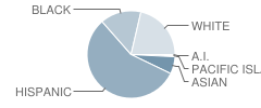 Hidden Springs Elementary School Student Race Distribution