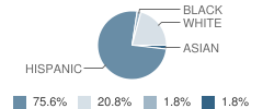 Central High (Continuation) School Student Race Distribution