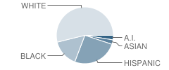 Sunrise (Special Education) School Student Race Distribution