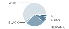 Nueva Vista High (Continuation) School Student Race Distribution