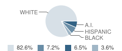 Silver Springs High (Continuation) School Student Race Distribution