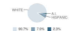 Nevada Union Technical High (Continuation) School Student Race Distribution