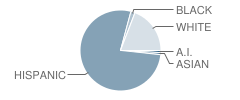 Central Bay High (Continuation) School Student Race Distribution
