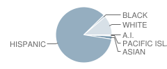 El Camino High (Continuation) School Student Race Distribution