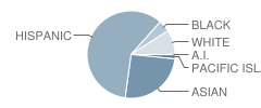 Davis (Caroline) Intermediate School Student Race Distribution