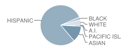 Stipe (Samuel) Elementary School Student Race Distribution
