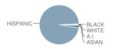 Brletic (Mathew J.) Elementary School Student Race Distribution