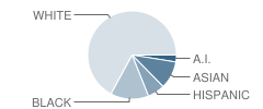 Millennium High (Alternative) School Student Race Distribution