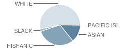 Charles Wagner Elementary School Student Race Distribution