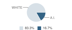Beckwourth (Jim) High (Continuation) School Student Race Distribution