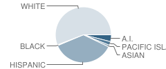 Montecito High (Continuation) School Student Race Distribution