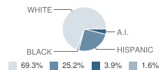 Salisbury High (Continuation) School Student Race Distribution