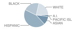 Vista High (Alternative) School Student Race Distribution