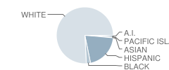 Charles Hoffman Elementary School Student Race Distribution