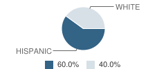 Mokelumne High (Continuation) School Student Race Distribution