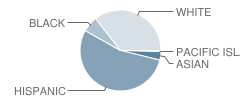 Harrison Elementary School Student Race Distribution
