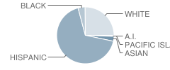 Victoria Elementary School Student Race Distribution