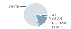 Independence High (Alternative) School Student Race Distribution