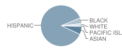 Santana High (Continuation) School Student Race Distribution