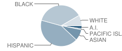 American Legion High (Continuation) School Student Race Distribution