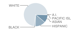 Melinda Heights Elementary School Student Race Distribution